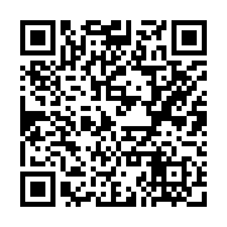 QR code for SJR958