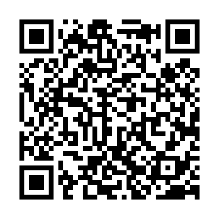 QR code for SJT438