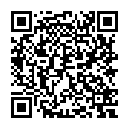 QR code for SKI929