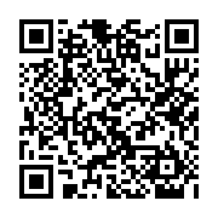 QR code for SKT295