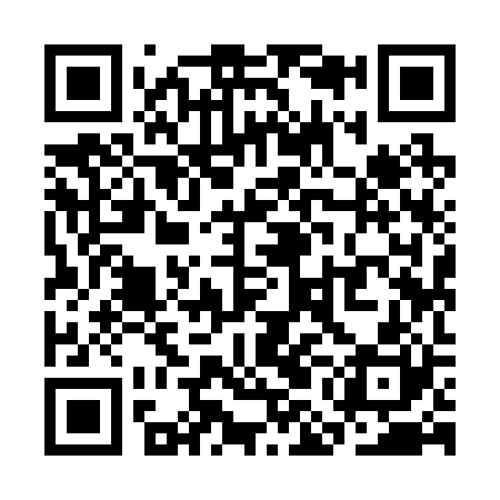 QR code for SMI220