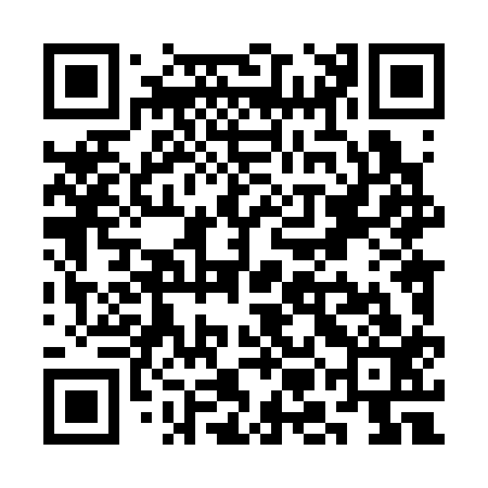 QR code for SML313