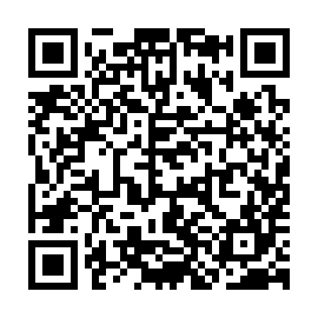 QR code for SNA384