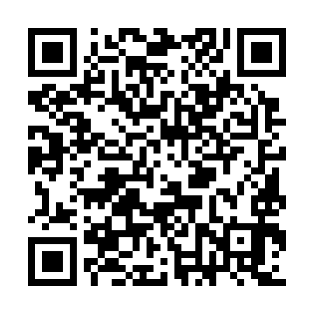 QR code for SNU393
