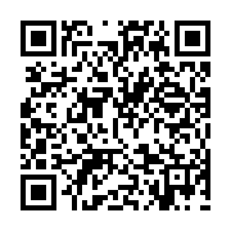 QR code for SOM205
