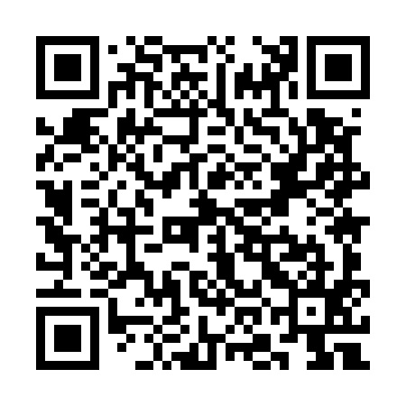 QR code for SOM595