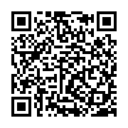 QR code for SPK399