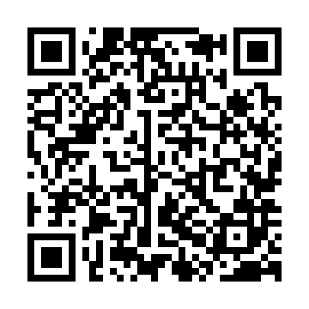 QR code for SPN382