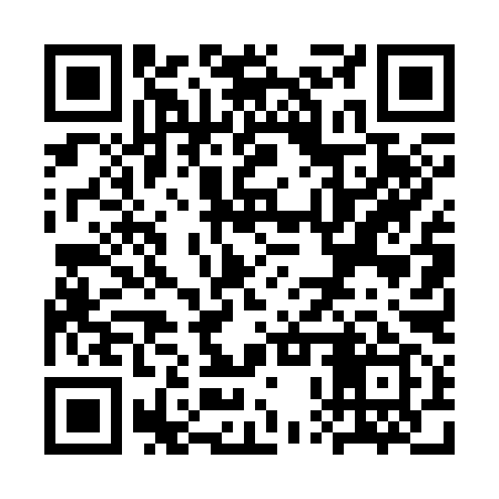 QR code for SPT399