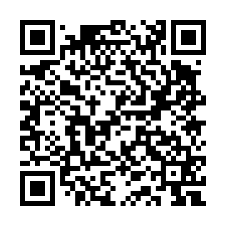 QR code for SQQ461
