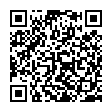 QR code for SRI491