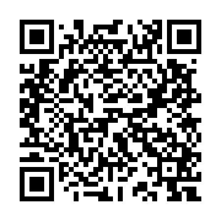 QR code for SRS541