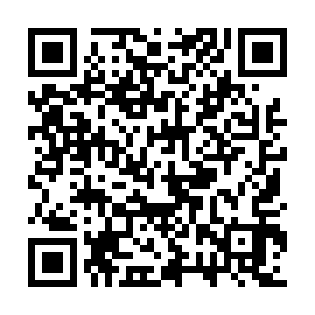 QR code for SRY413