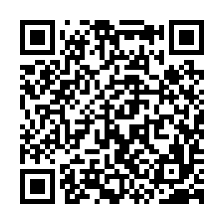 QR code for SSI296