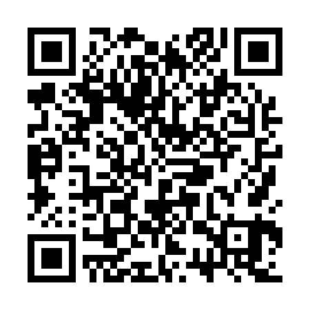 QR code for SSX161