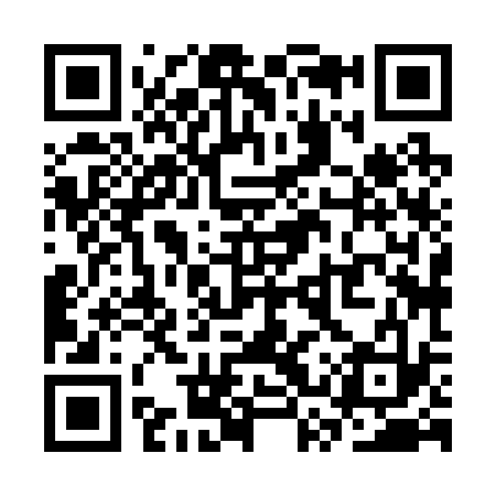QR code for SSX233