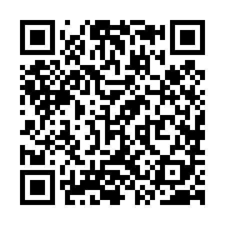 QR code for SSX489