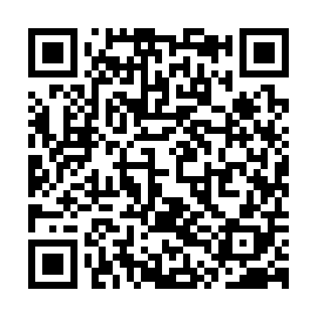 QR code for STI308