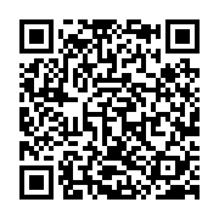 QR code for STL229