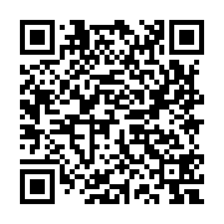 QR code for SVI918