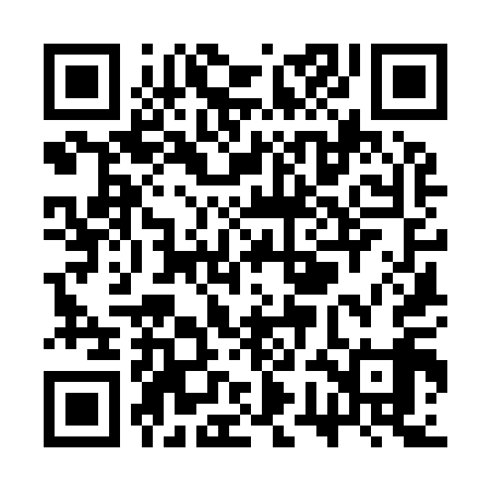 QR code for SWK919