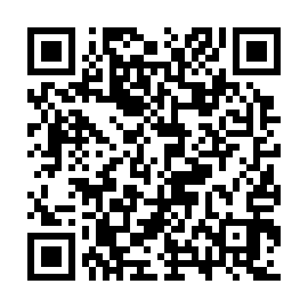 QR code for SXF313