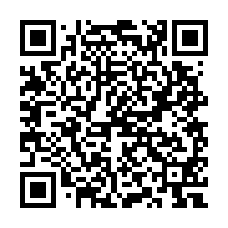 QR code for SYR790