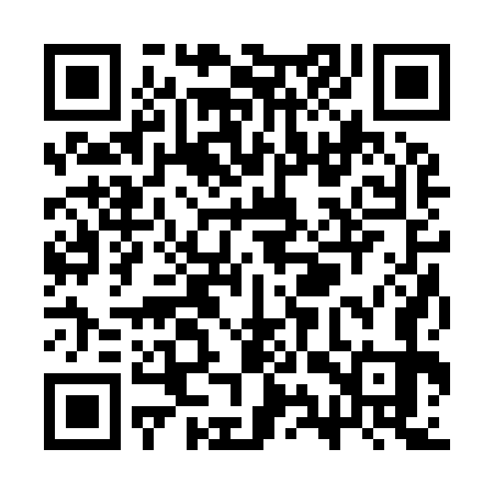 QR code for SYR973