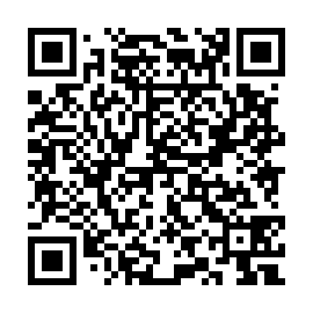 QR code for SYX538
