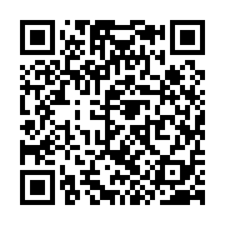 QR code for SYY119