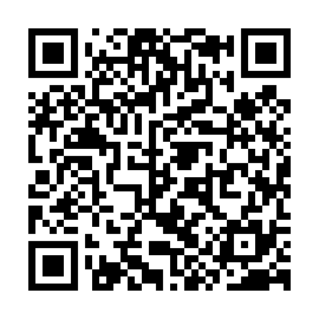 QR code for SYY435