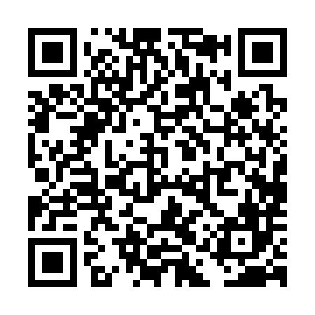 QR code for TAP386