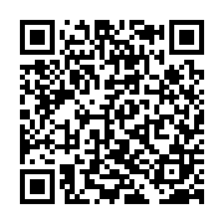 QR code for TDG302