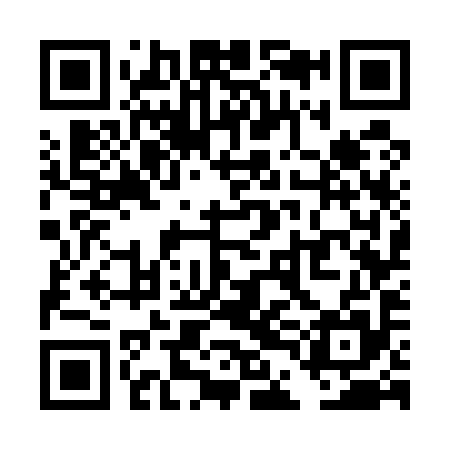 QR code for TDG595