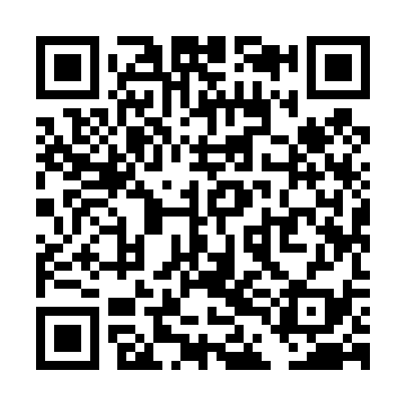 QR code for TDI439