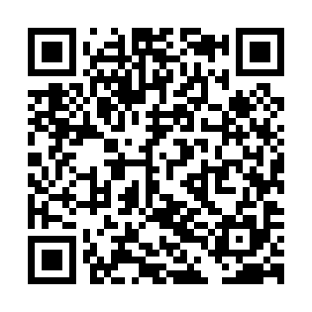 QR code for TDM095