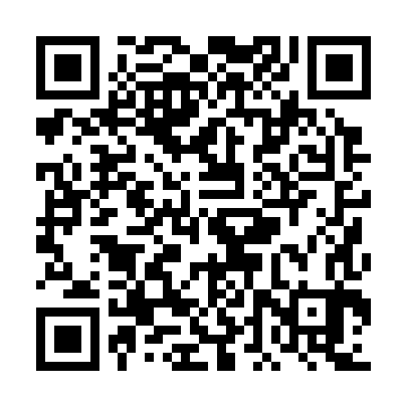 QR code for TDP383
