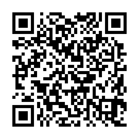 QR code for TDQ381
