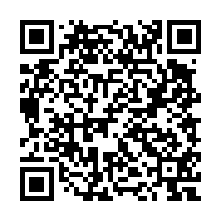 QR code for TDT411