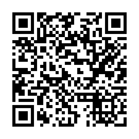 QR code for TFF369