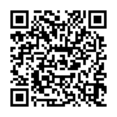 QR code for TID313