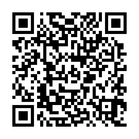 QR code for TID381