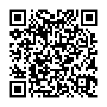 QR code for TIE225