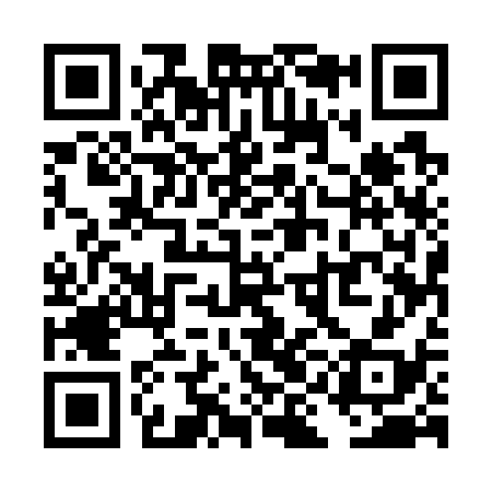 QR code for TIE738
