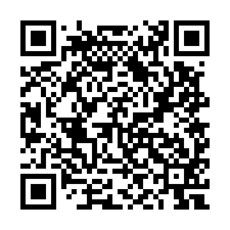 QR code for TIG593