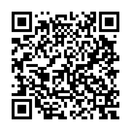 QR code for TII013