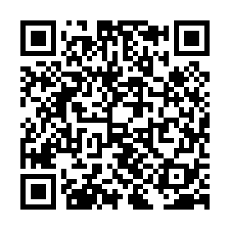 QR code for TII079