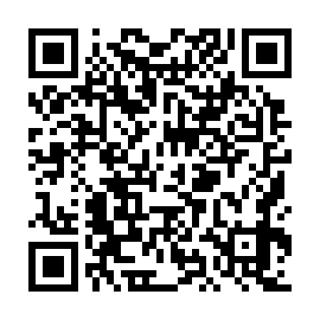 QR code for TII379