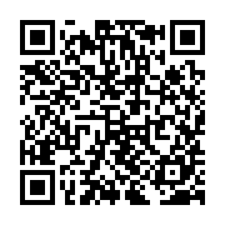 QR code for TIK385
