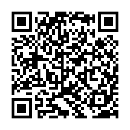 QR code for TIQ095